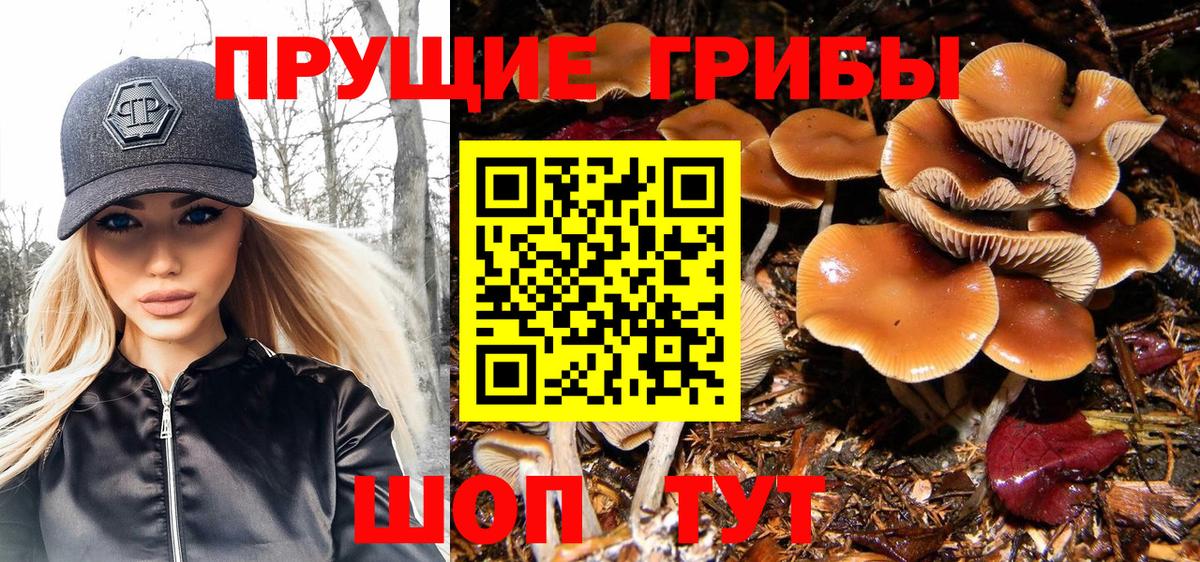 Галлюциногенные грибы прущие грибы Зеленокумск