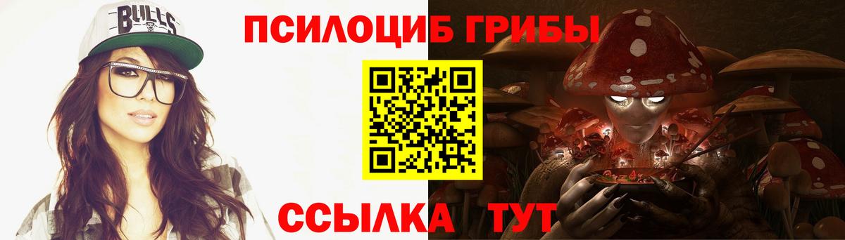 Зеленокумск  Галлюциногенные грибы Cubensis  Вход с VPN 